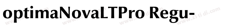 optimaNovaLTPro Regu字体转换